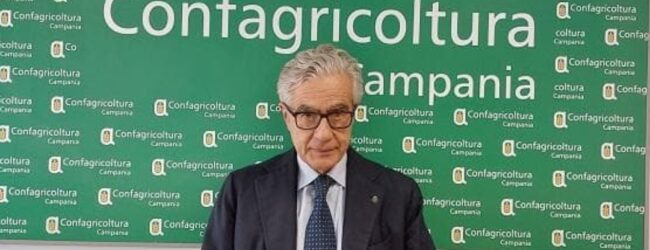 Confagricoltura Campania: preoccupazione per l’azzeramento dei dazi USA-UE su frutta a guscio