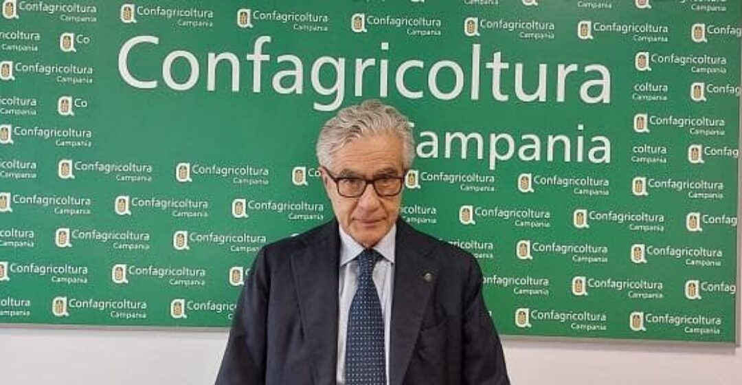 Confagricoltura Campania: preoccupazione per l’azzeramento dei dazi USA-UE su frutta a guscio
