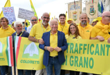 Crolla il prezzo del grano duro, ‘rischio campi vuoti’. Proteste agricoltori, Lollobrigida: via a Commissione nazionale