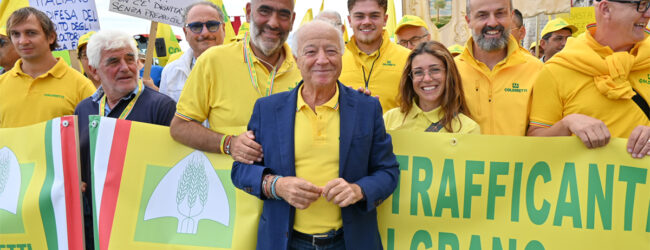 Crolla il prezzo del grano duro, ‘rischio campi vuoti’. Proteste agricoltori, Lollobrigida: via a Commissione nazionale