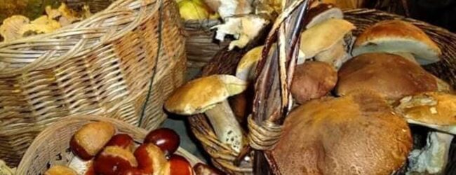 Il 27 e 28 settembre Torrioni celebra tradizione e gusto con “Saperi & Sapori 2025”