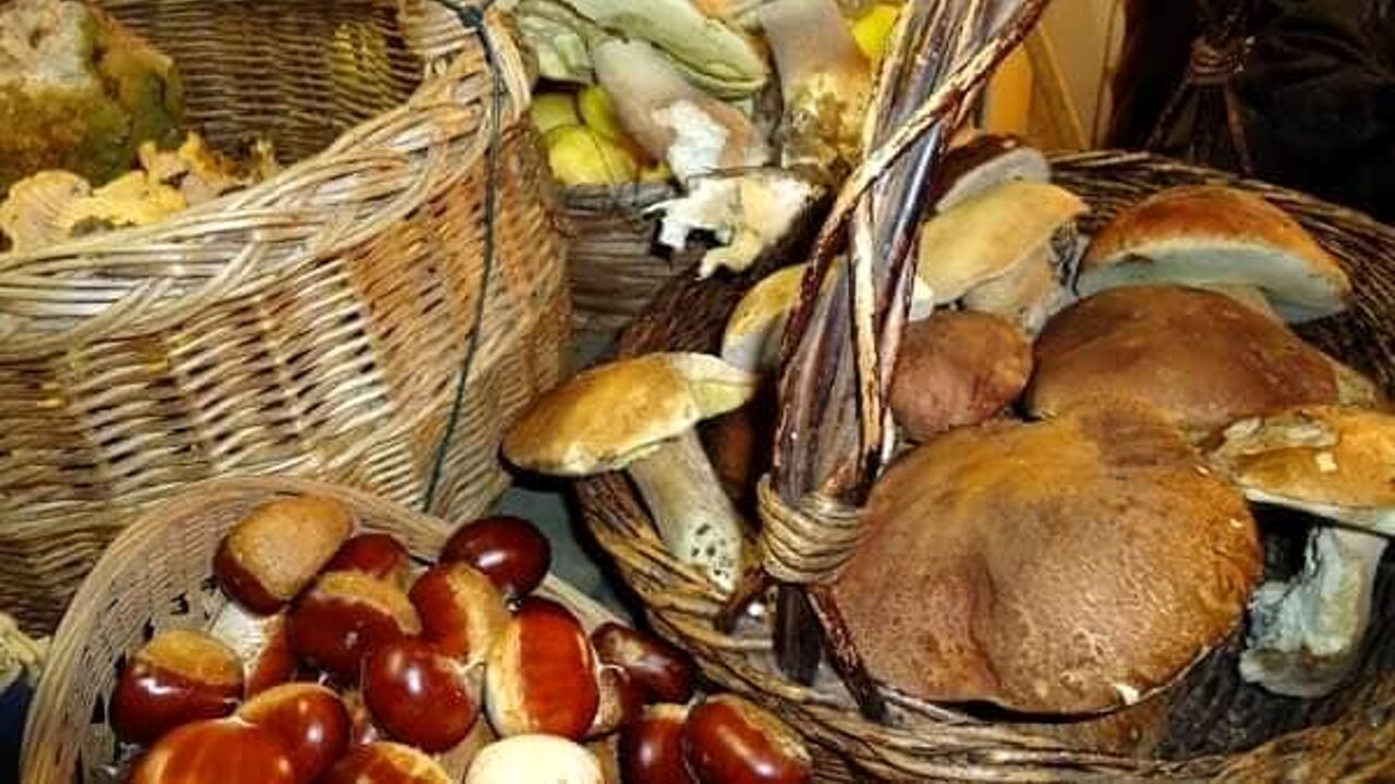 Il 27 e 28 settembre Torrioni celebra tradizione e gusto con “Saperi & Sapori 2025”