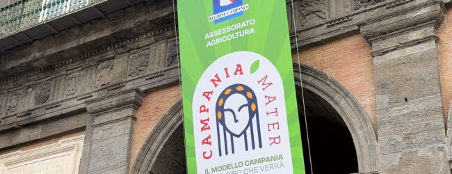 Terre di Molinara modello a Campania Mater