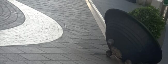 Atti vandalici lungo corso Garibaldi, Mastella: “Individuazione rapida del responsabile è gran risultato e monito per gli altri”