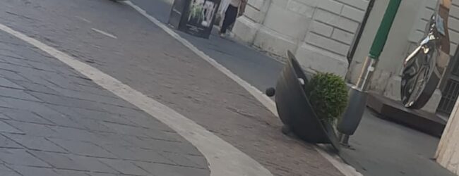 Danneggia le fioriere del Corso: fermato cittadino ucraino a Benevento