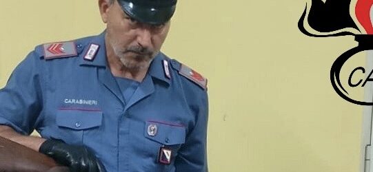 Val Fortore, controlli dei Carabinieri: sequestrati fucili e munizioni