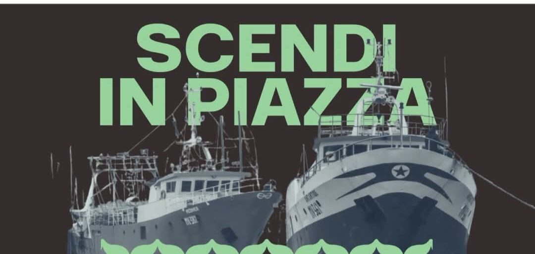 Assemblea pubblica del Global Movement to Gaza Benevento, il 15 settembre presso l’Auditorium Spina Verde