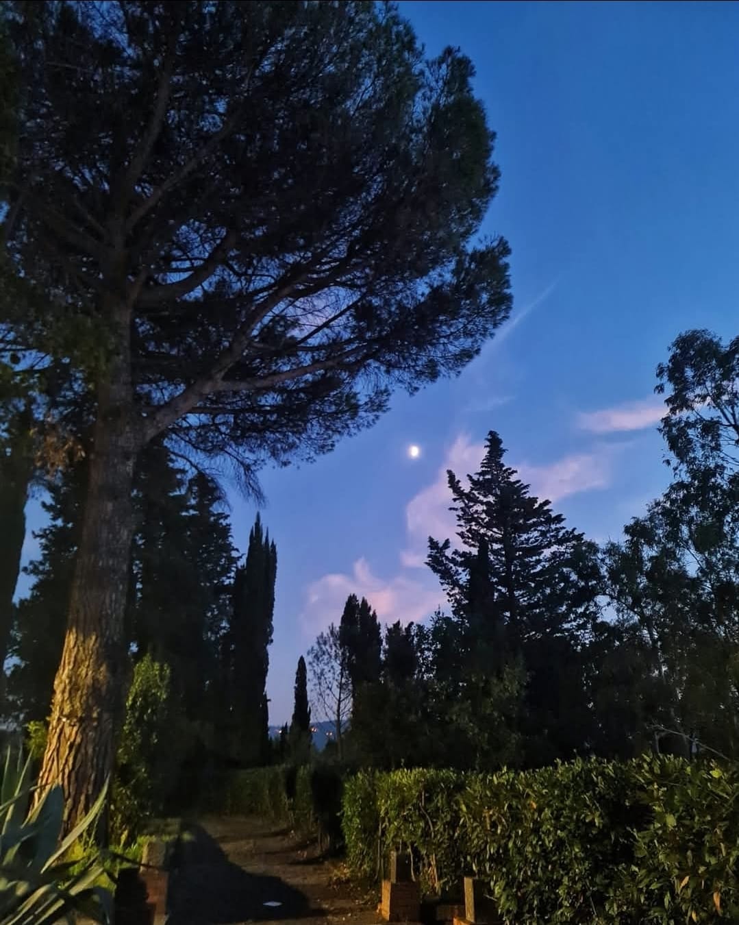 Esoterismo, Janare e Maoni, incontro alla Fondazione Ciccio Romano