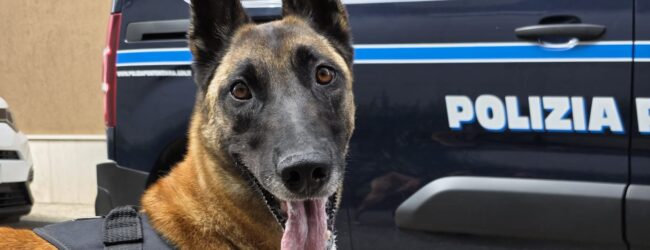 Baschi Azzurri smascherano un possibile tentativo di spaccio in carcere