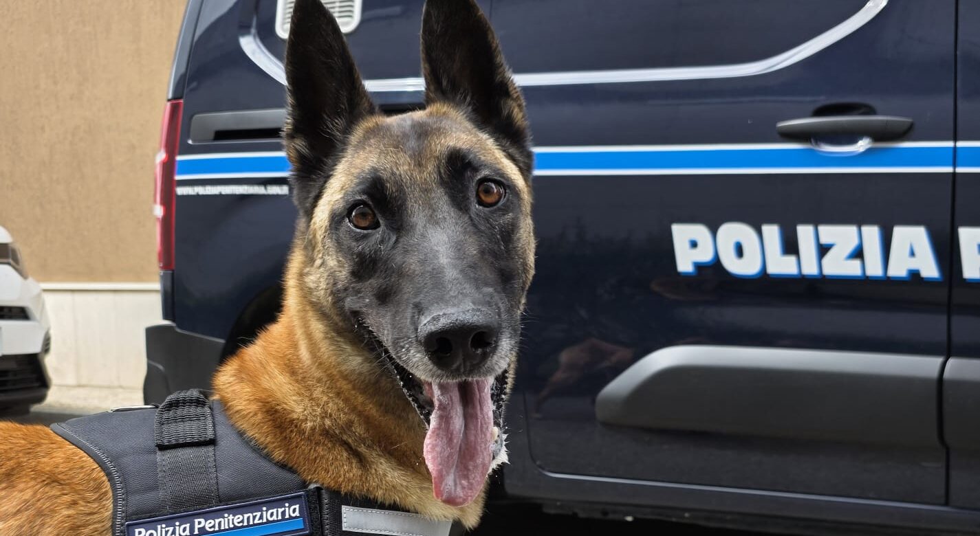 Baschi Azzurri smascherano un possibile tentativo di spaccio in carcere