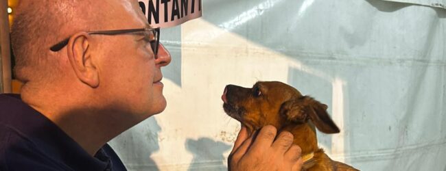 Summonte, cagnolino smarrito durante la sagra. Sindaco e cittadini mobilitati per risalire al proprietario: in mattinata il lieto fine   