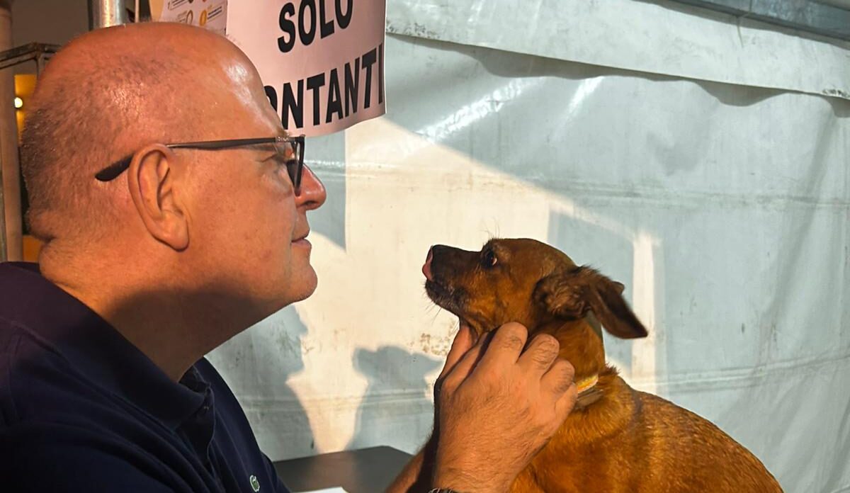 Summonte, cagnolino smarrito durante la sagra. Sindaco e cittadini mobilitati per risalire al proprietario: in mattinata il lieto fine   