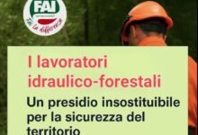Forestazione: dignità, stabilità, rispetto. Servono decisioni chiare e coraggiose
