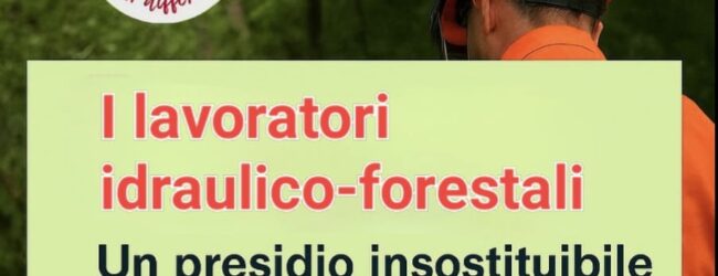 Forestazione: dignità, stabilità, rispetto. Servono decisioni chiare e coraggiose