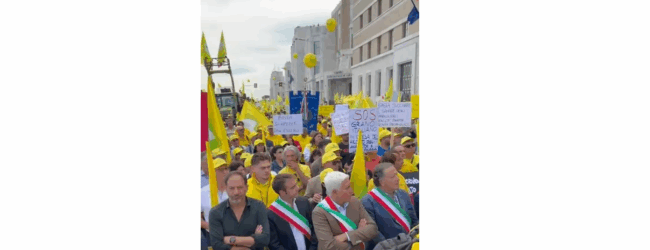 Dalla Campania alla Puglia per far sentire la loro voce in difesa del grano italiano, minacciato dalle massicce importazioni dall’estero.