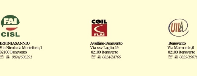 Settore Forestale in crisi: sindacati chiedono incontro urgente alle Istituzioni