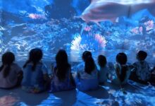 Giochi e nuovi modelli educativi: boom di piccoli visitatori alla Family Room di Atripalda