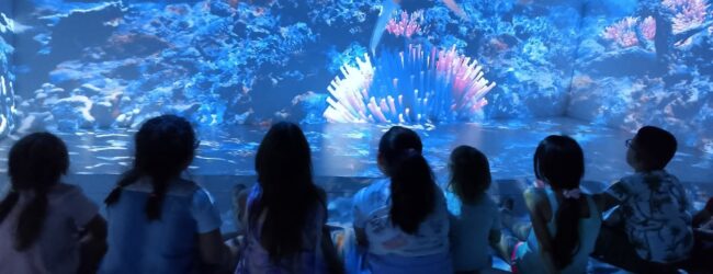 Giochi e nuovi modelli educativi: boom di piccoli visitatori alla Family Room di Atripalda