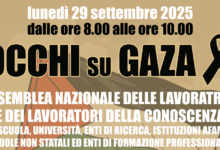 Gaza, la FLC CGIL Benevento ringrazia l’Unisannio per la mozione in difesa dei diritti umani