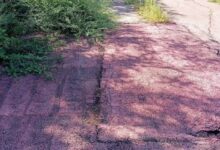 Pista ciclo pedonale impraticabile, la Provincia “batta” un colpo