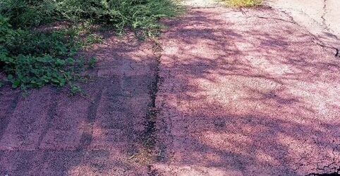 Pista ciclo pedonale impraticabile, la Provincia “batta” un colpo