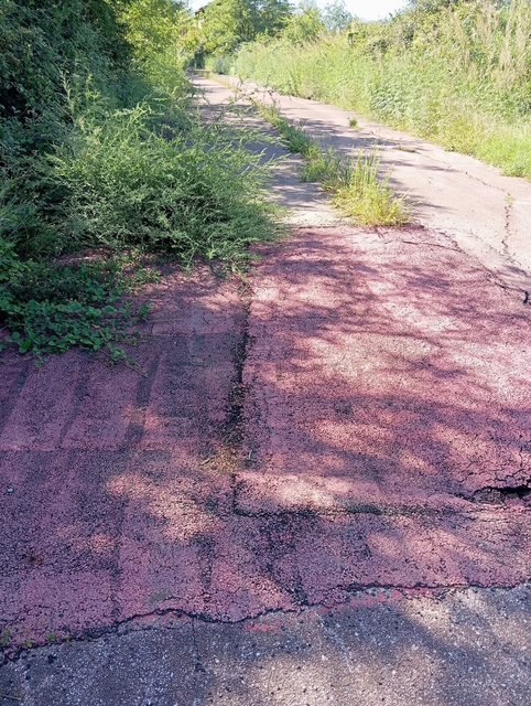 Pista ciclo pedonale impraticabile, la Provincia “batta” un colpo