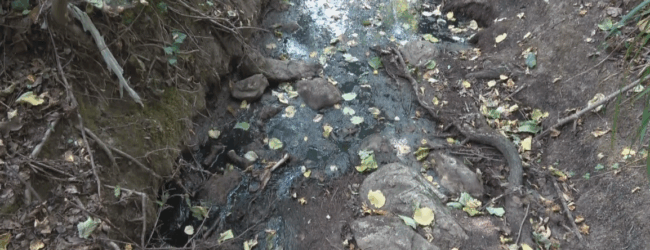 Disastro ambientale, Apollonio e Ciarlo: “inquinamento è nei fatti”