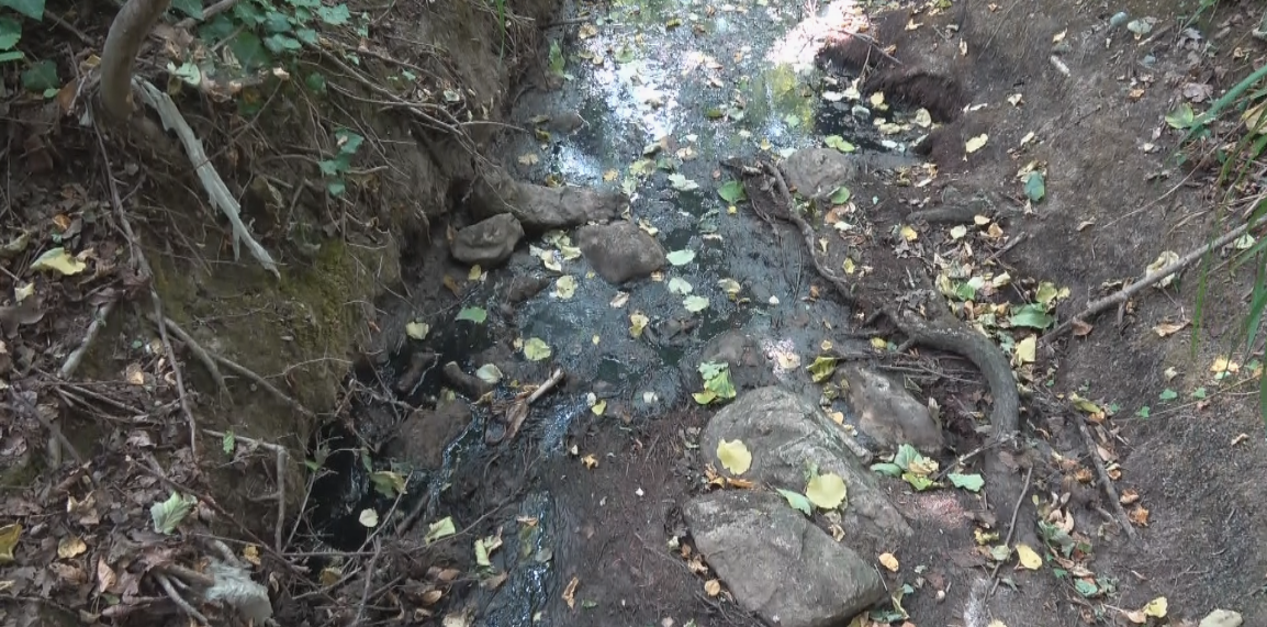 Disastro ambientale, Apollonio e Ciarlo: “inquinamento è nei fatti”