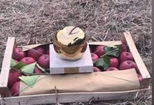 Premio “Mela annurca d’Oro”, un grande successo per la II edizione dell’evento a Sant’Agata de’ Goti