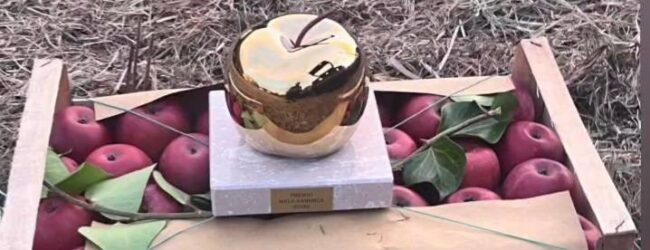 Premio “Mela annurca d’Oro”, un grande successo per la II edizione dell’evento a Sant’Agata de’ Goti