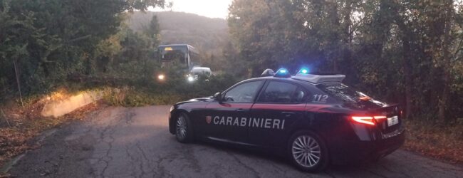 Greci, albero cade sulla Provinciale 58 per il forte vento