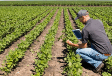 Coldiretti Campania, arriva la legge sull’agricoltura sociale e le fattorie Sociali