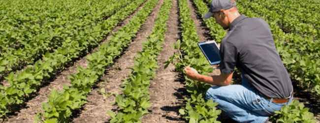 Coldiretti Campania, arriva la legge sull’agricoltura sociale e le fattorie Sociali
