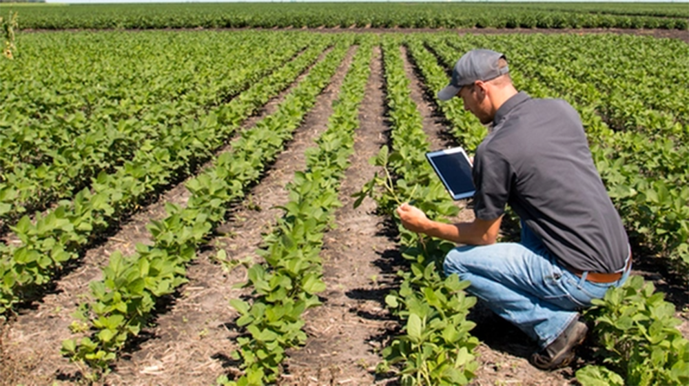 Coldiretti Campania, arriva la legge sull’agricoltura sociale e le fattorie Sociali
