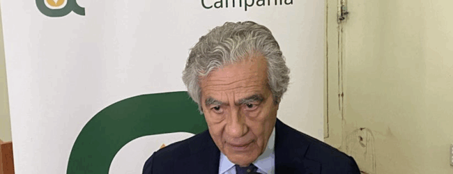 Annata olivicola, Confagricoltura Campania: l’apertura della campagna preannuncia qualità eccellente e rese nella media. Lavoriamo su prospettive di crescita
