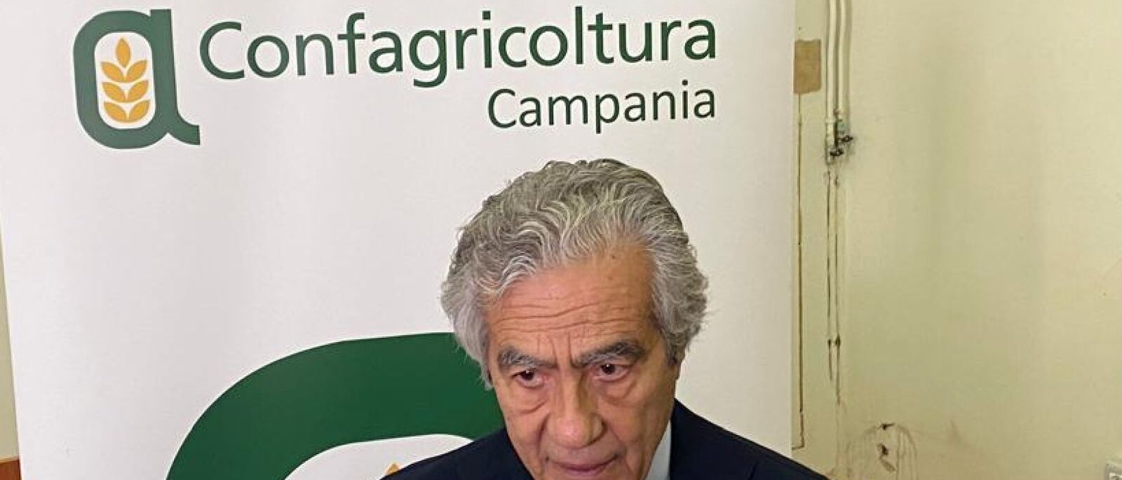 Vendemmia, allarme manodopera in Campania. Avellino, Caserta e Benevento le province più colpite