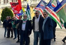 Forestali, Iannace (Cisl): bene tavolo ma vogliamo risposte concrete