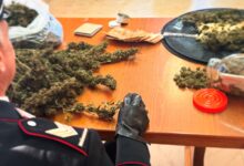 Furti e droga, a Montesarchio arrestate tre persone