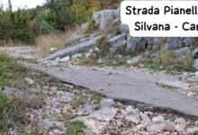 Nuova Cusano: interventi urgenti su strade e spazi pubblici