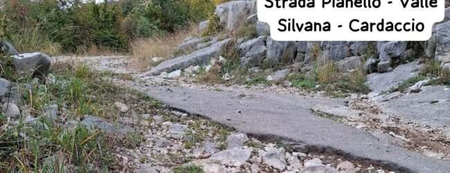 Nuova Cusano: interventi urgenti su strade e spazi pubblici