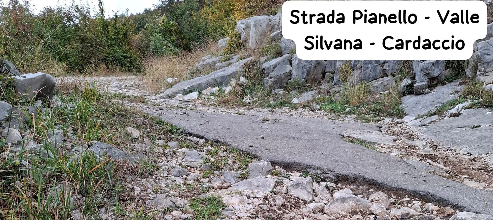 Nuova Cusano: interventi urgenti su strade e spazi pubblici