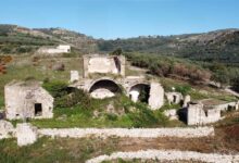 XXVII Sagra dell’Olio di Cervino: confronto su olio e oleoturismo alla Casa della Vigna