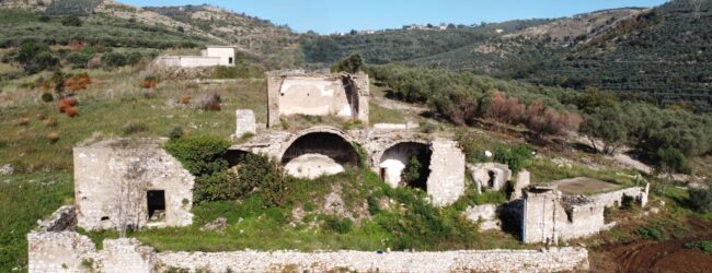 XXVII Sagra dell’Olio di Cervino: confronto su olio e oleoturismo alla Casa della Vigna