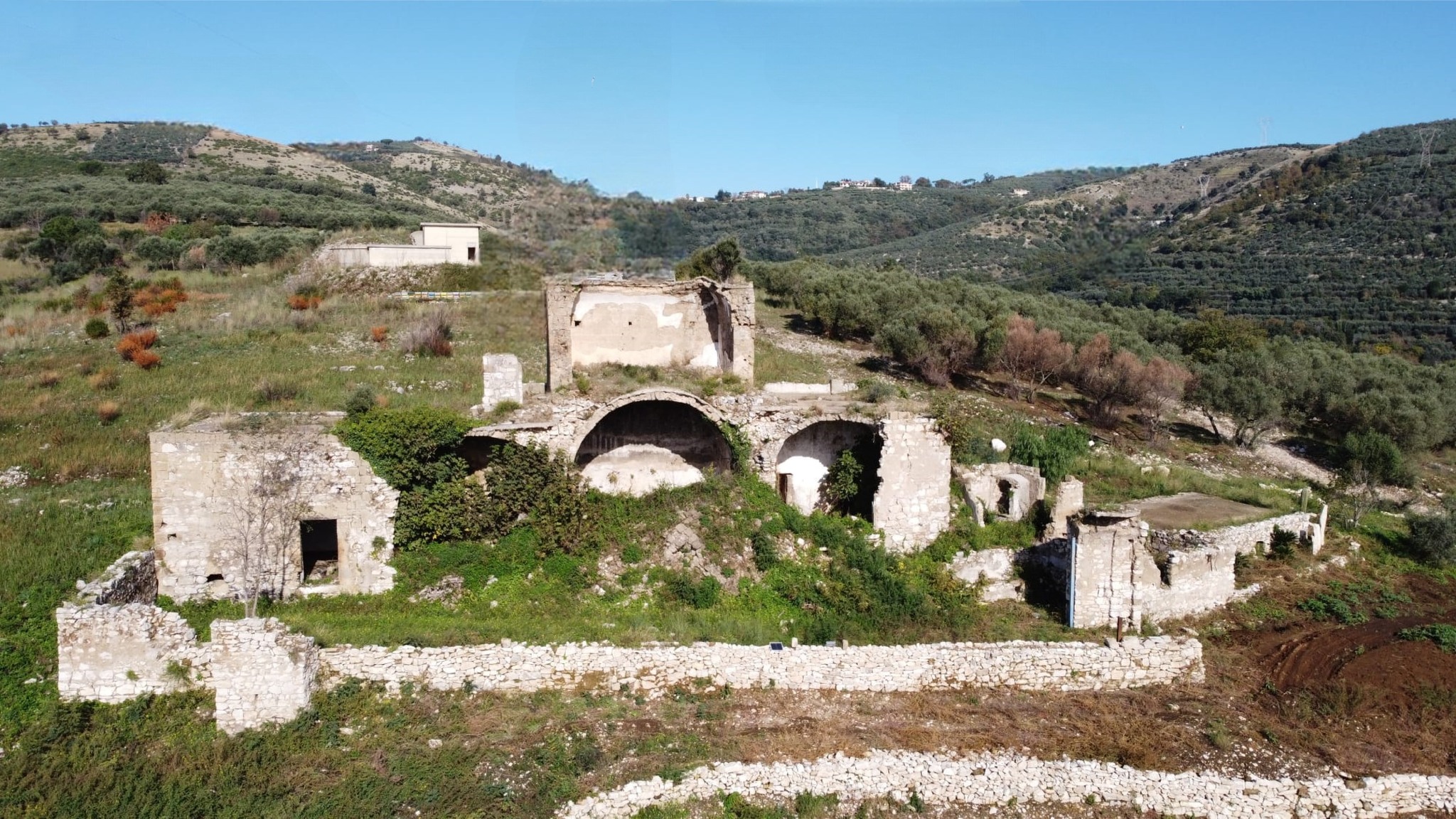 XXVII Sagra dell’Olio di Cervino: confronto su olio e oleoturismo alla Casa della Vigna