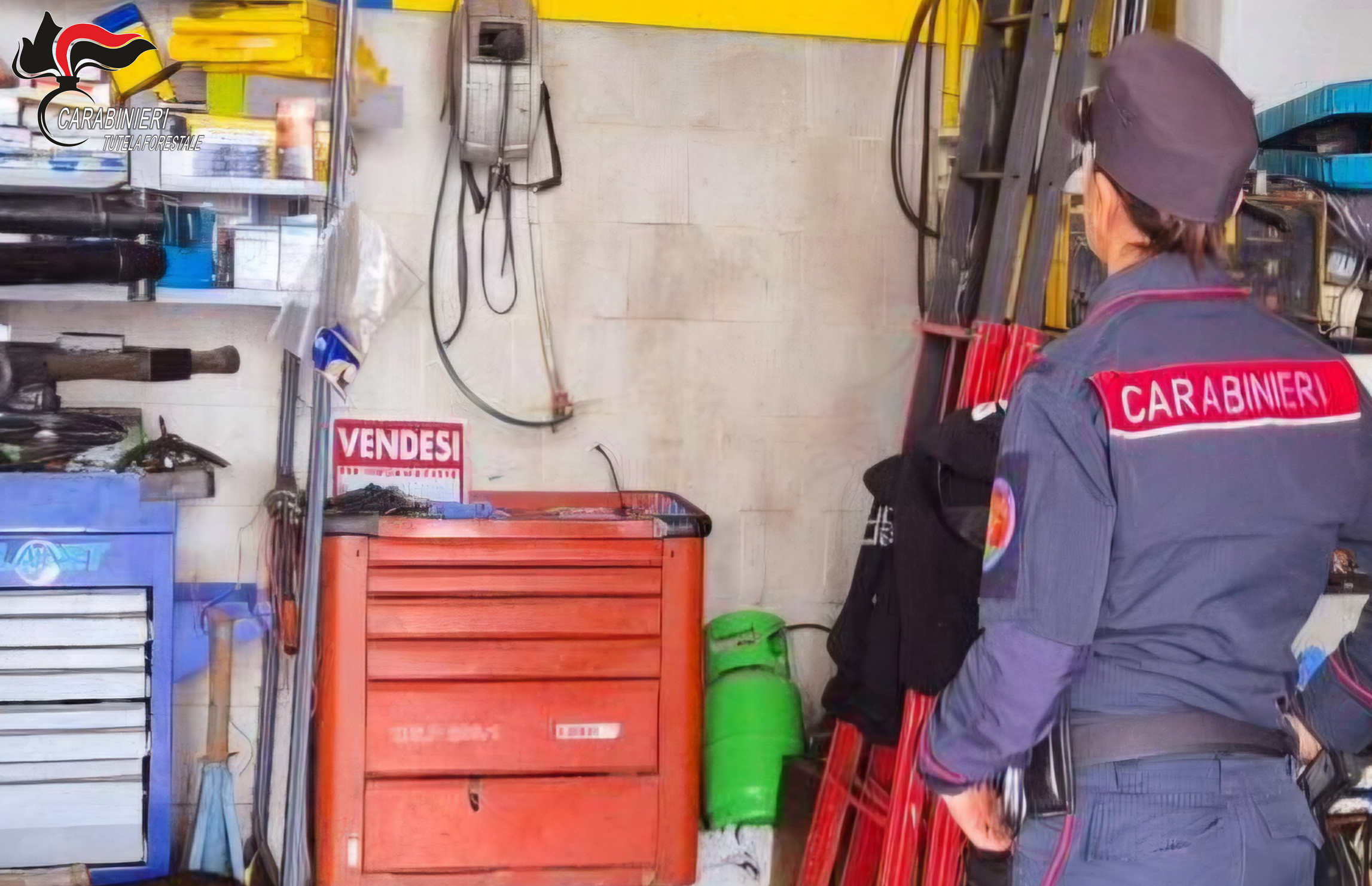 Monteforte Irpino (AV): I Carabinieri denunciano il titolare di un’officina meccanica