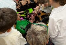 Aiello del Sabato (AV): I Carabinieri alla festa Nazionale dell’Albero 2025