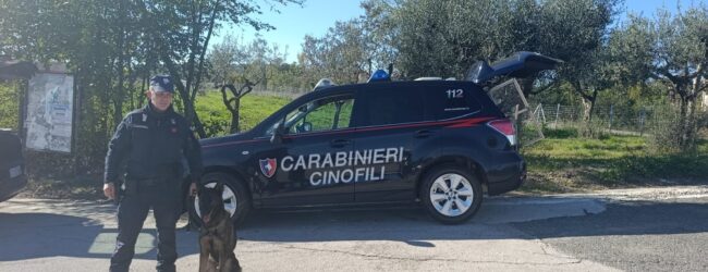 Pietradefusi: Carabinieri arrestano un pusher straniero che deteneva oltre 70 grammi di hashish