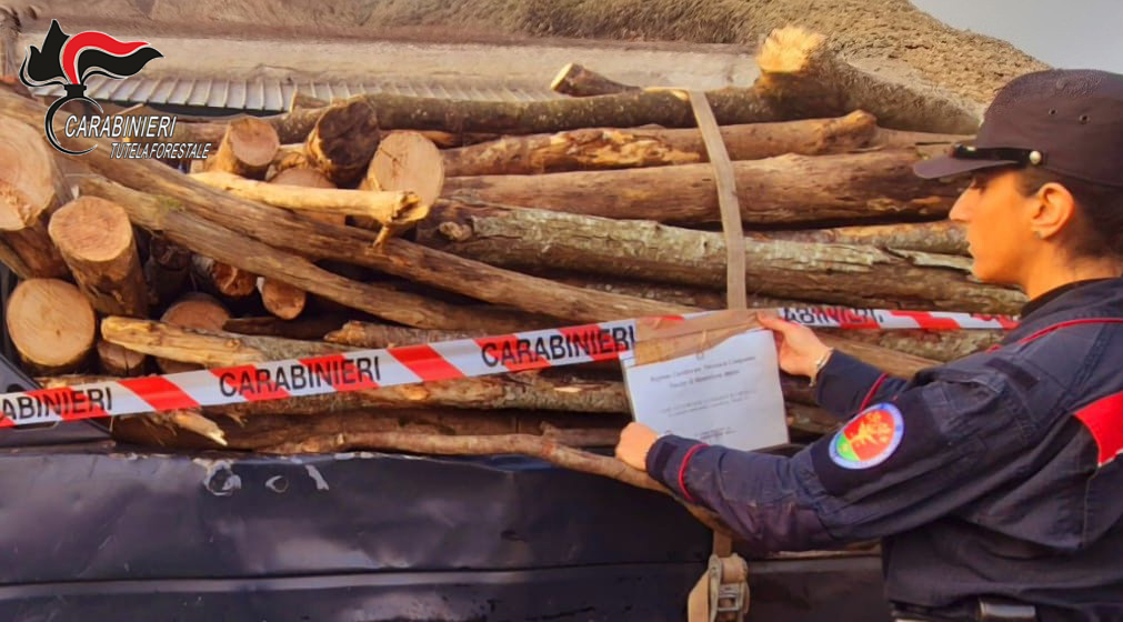Ospedaletto d’Alpinolo, Carabinieri denunciano una persona per taglio abusivo e furtivo di piante