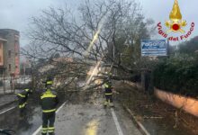 Vigili del Fuoco di Avellino: Interventi per maltempo in tutta la provincia