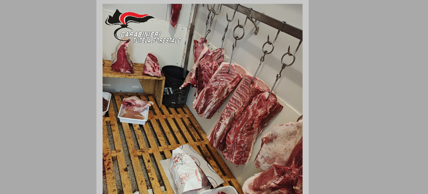 Sequestrati 20 kg di alimenti senza tracciabilità: chiusa un’attività commerciale a Benevento